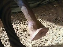 freepornzoo.com