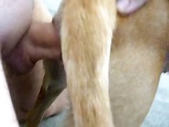 succubx.com